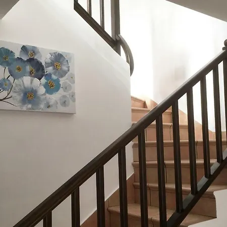 Casa Paloma